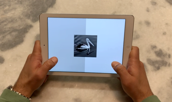 cognetivity-ipad-user – Copy